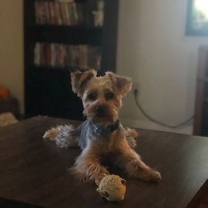 Meet your Posher, Rhonda